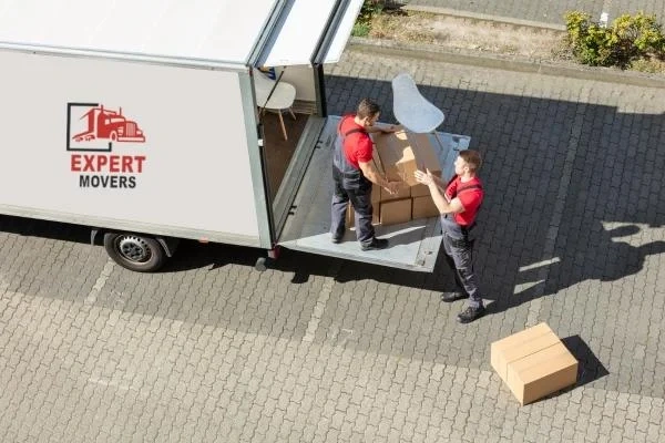 Professional office movers in Tairua